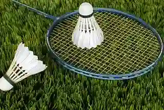 Badminton Court