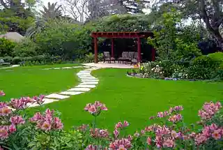 Green Lawns