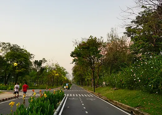 Walking Trails